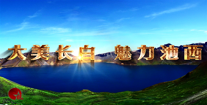 专题片